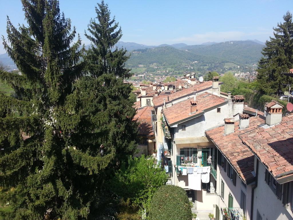 Alta Bed and breakfast 3*